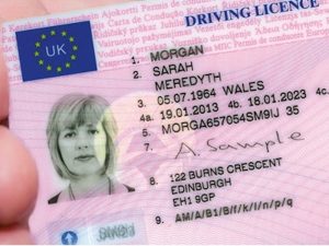 There has been an increase in the volume and frequency of online driving licence data checking by UK fleets