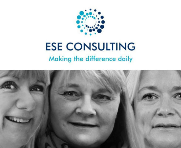 Q&A: Ese Consulting