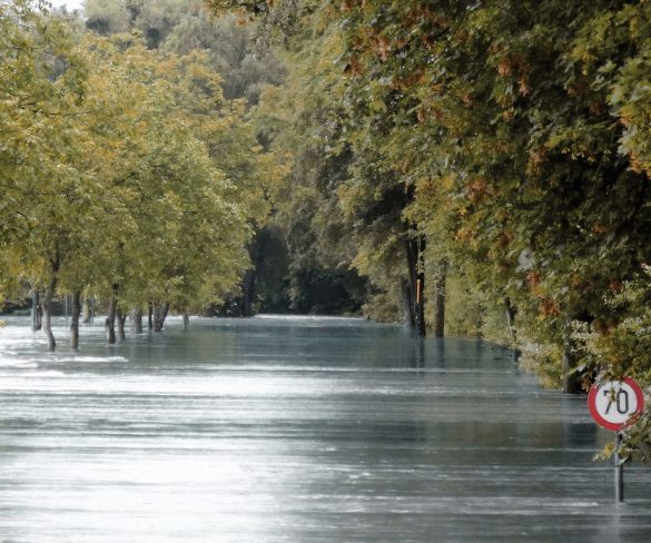 74% of drivers would risk driving through flood water