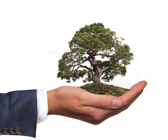 Arval supports fleets to net zero with carbon offsets