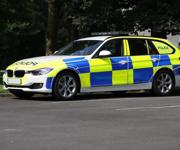 More cops in cars vital to reduce road deaths, says AA