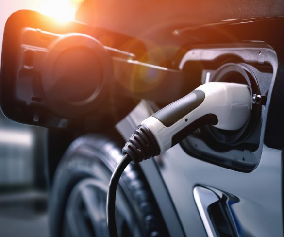 Government’s eco advisers call for ban on hybrid cars and action on charging